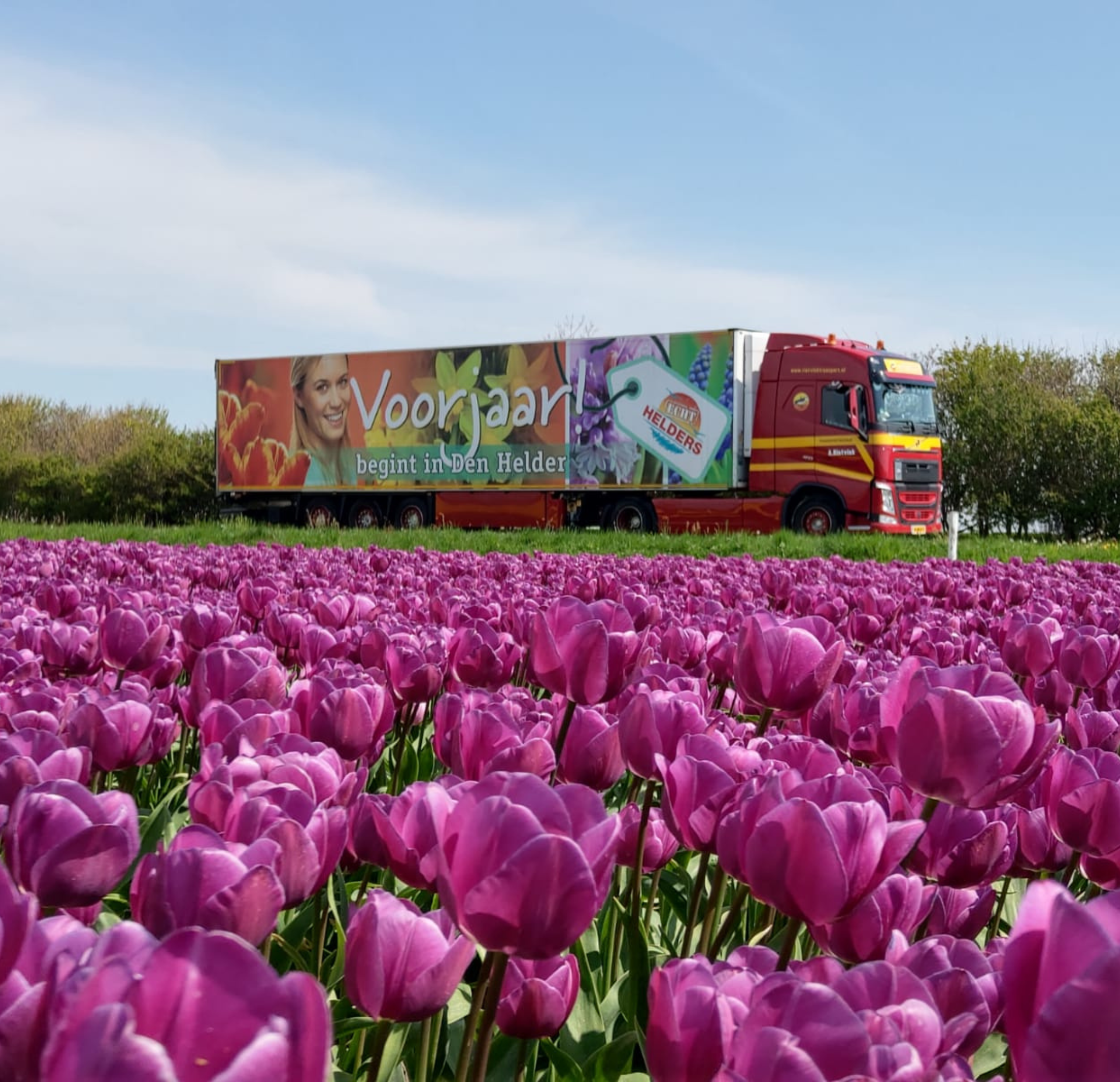 Ontwerp zonder titel (1) Rietvink transport bloemen & planten transport julianadorp